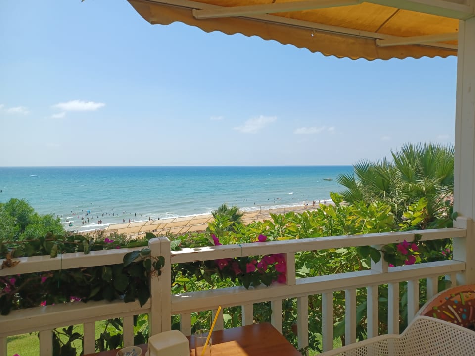 Ausblick Can Garden Resort