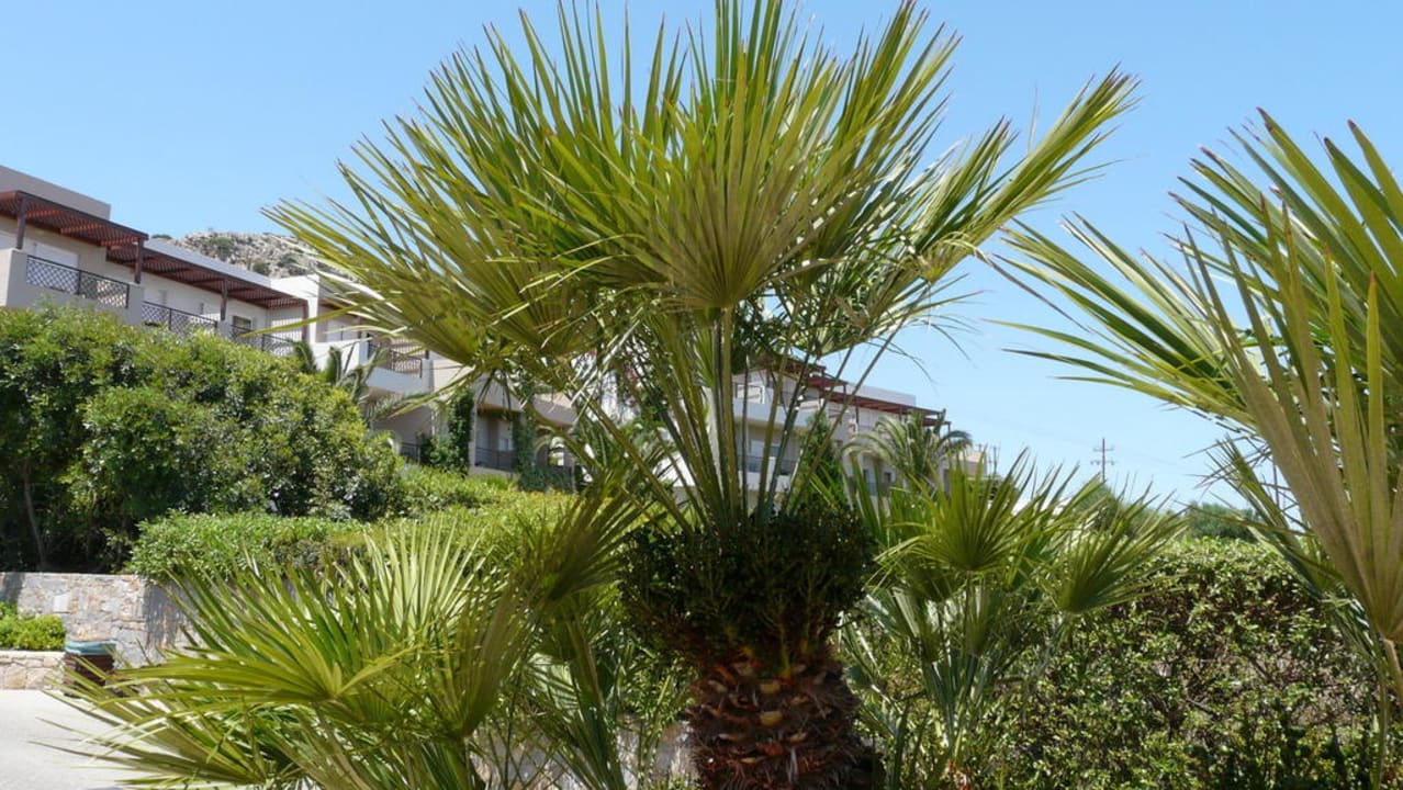 Gartenanlage Grand Hotel Holiday Resort