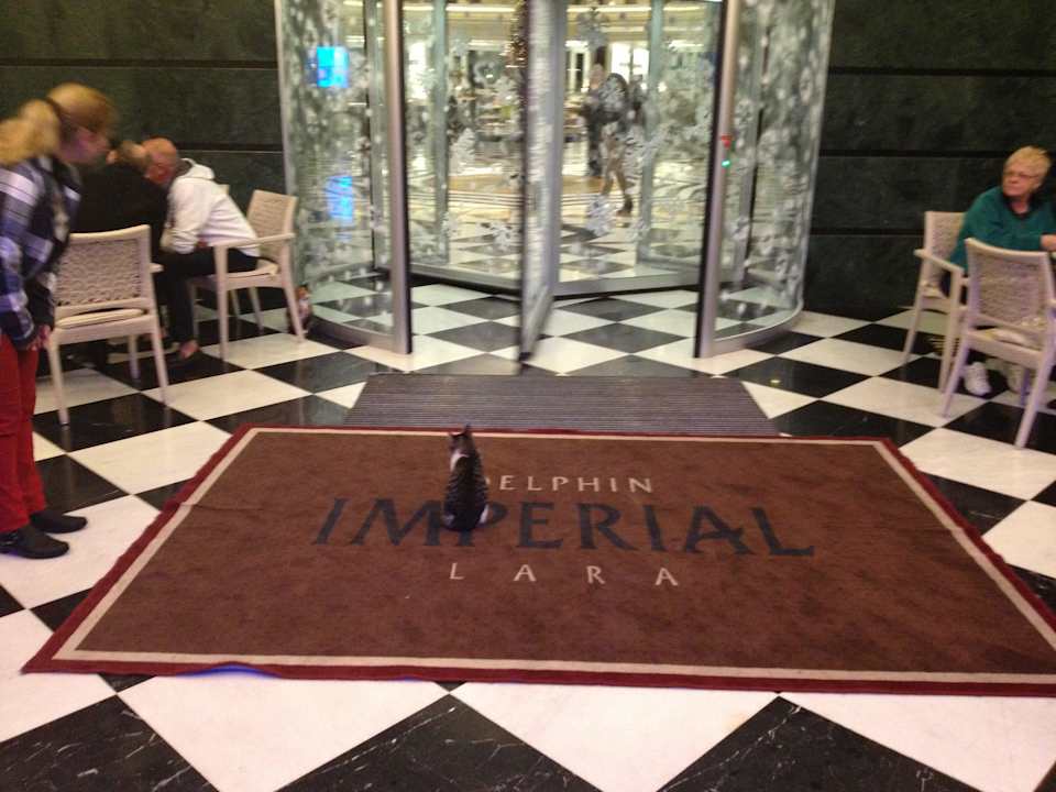 Eingang Hotel Delphin Imperial