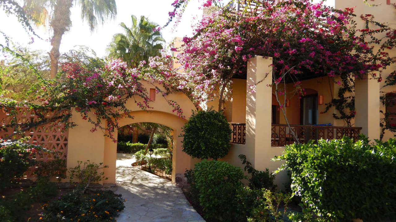 Gartenanlage Steigenberger Coraya Beach - Adults only