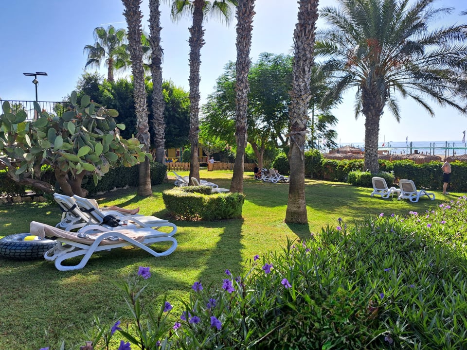 Gartenanlage Hotel Terrace Beach Resort
