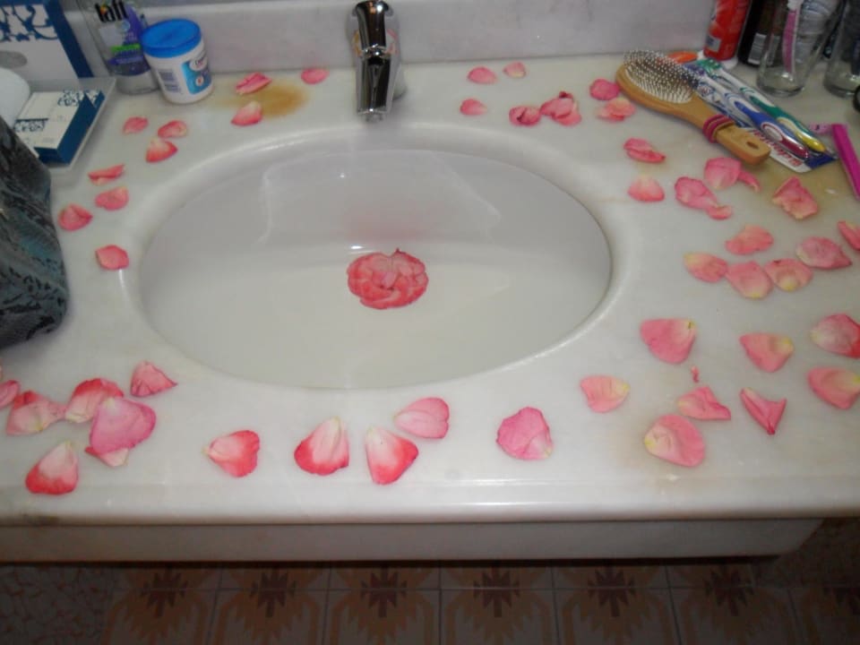 Blüten im Bad Ali Bey Club