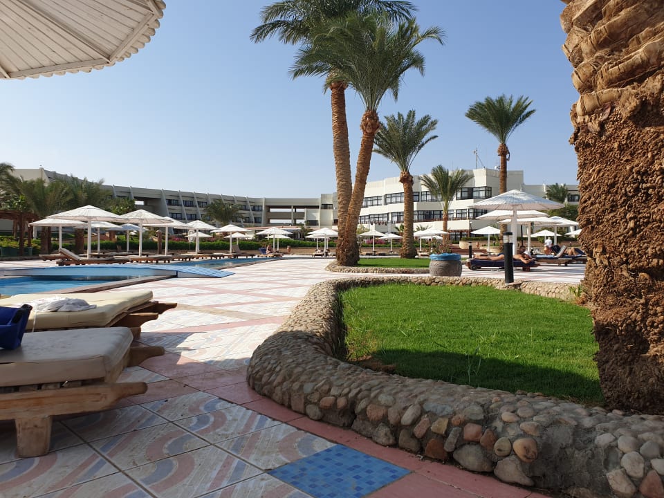 Pool Pharaoh Azur Resort