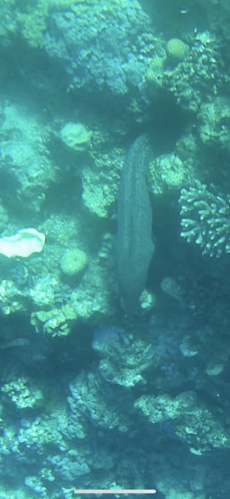 Sport & Freizeit Lazuli Hotel Marsa Alam