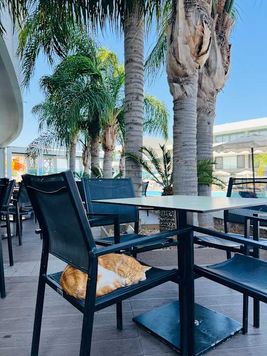 Gastro Virginia Family Resort