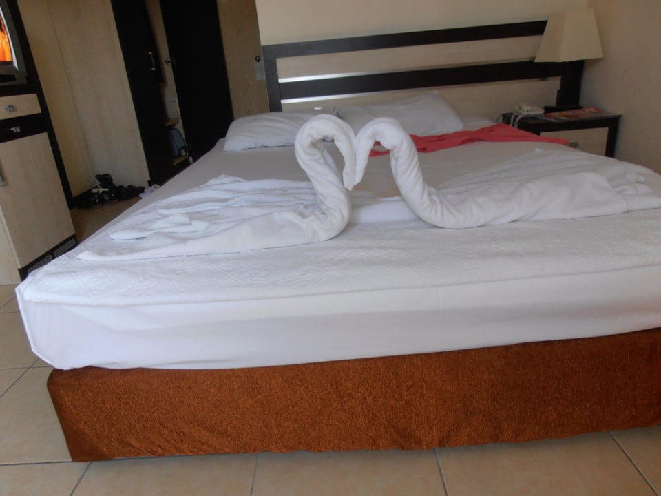 Schönes Motiv Hotel Orfeus Park