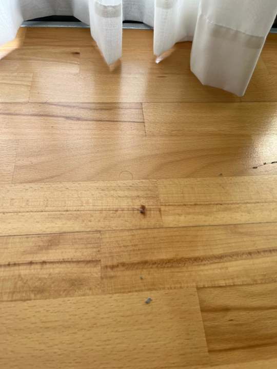 Zimmer Falkensteiner Hotel Adriana