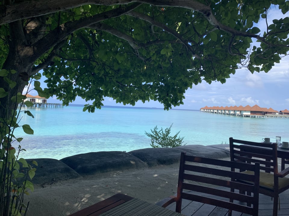 Gastro ROBINSON MALDIVES