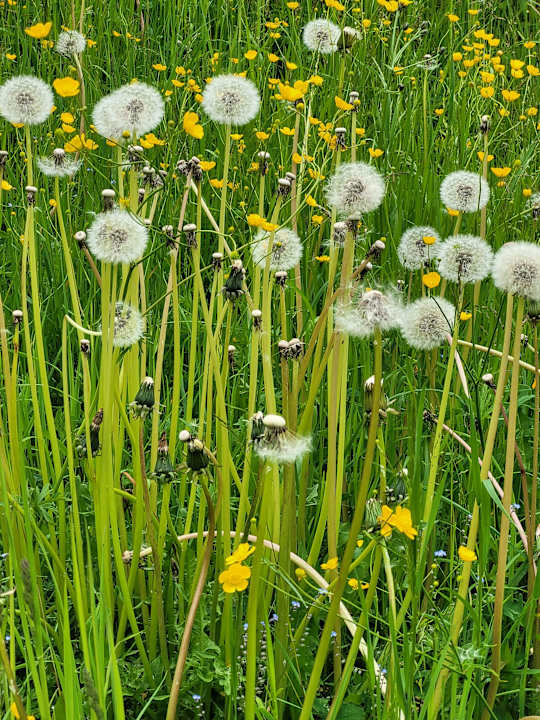 Sonstiges Sonklarhof