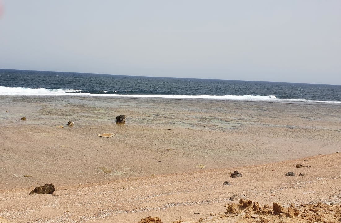 Strand Steigenberger Resort Alaya Marsa Alam - Red Sea - Adults only