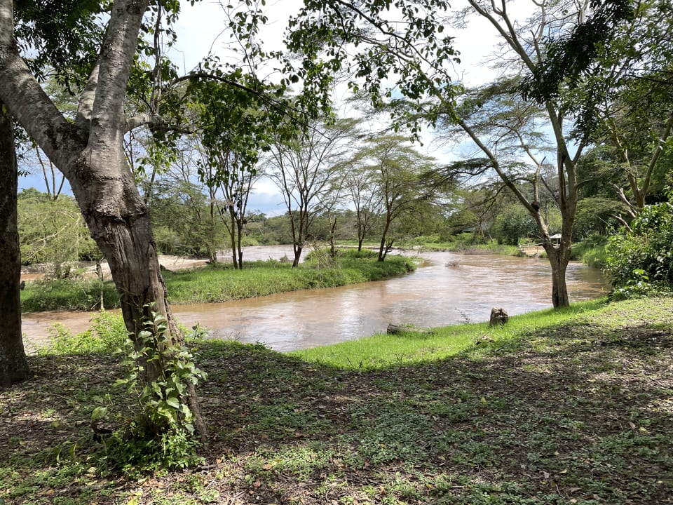 Gartenanlage Ishasha Wilderness Lodge