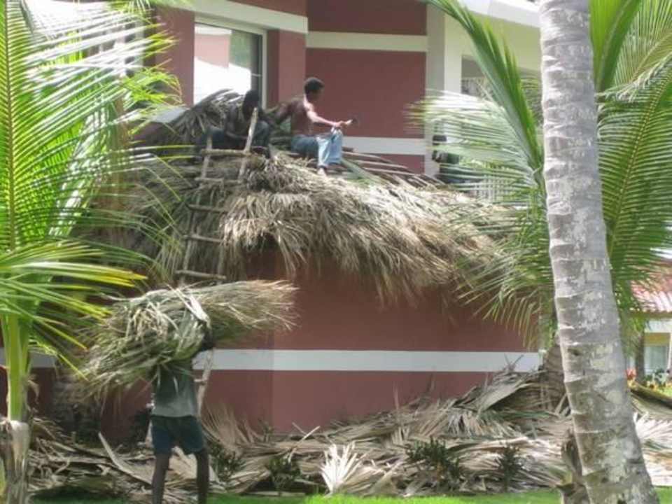 Dachdecker Grand Palladium Select Bávaro Resort & Spa