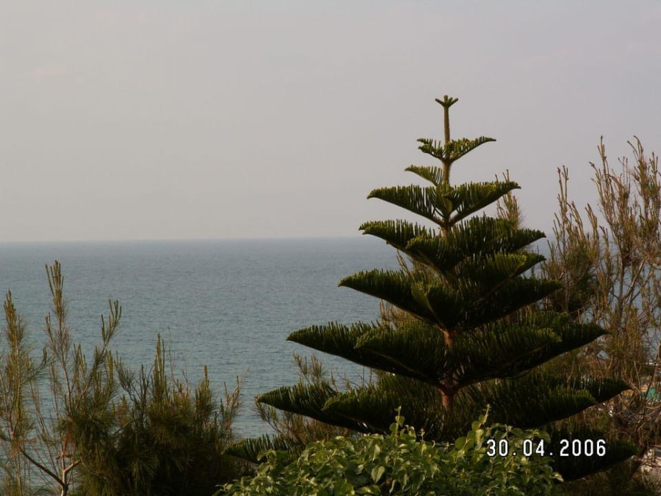 Rinela_Beach03 Mitsis Rinela