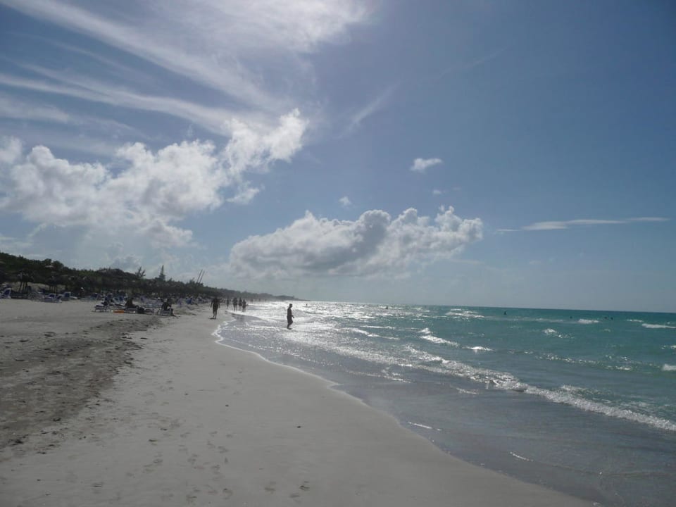 Der Strandabschnitt von "Las Americas" Melia Las Antillas - Adults only
