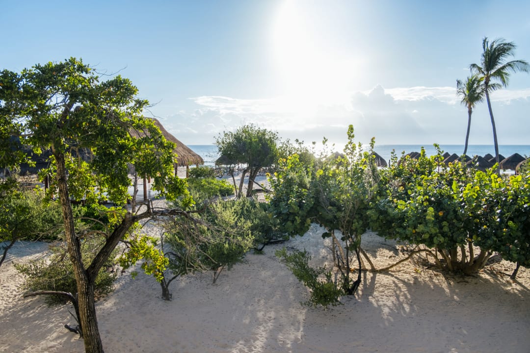 Ausblick Iberostar Waves Paraiso Beach