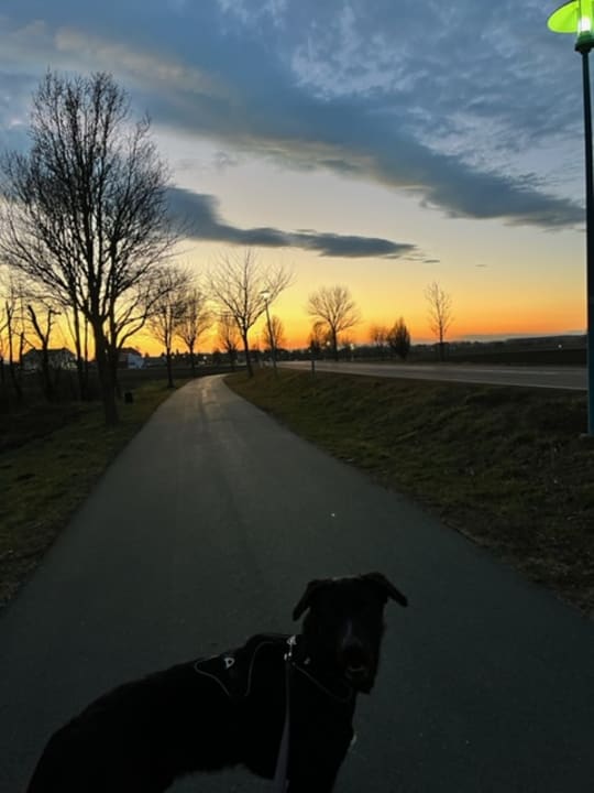 Ausblick All In Red Thermenhotel