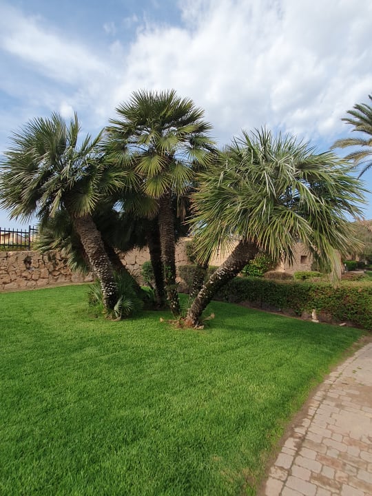 Gartenanlage R2 Pajara Beach