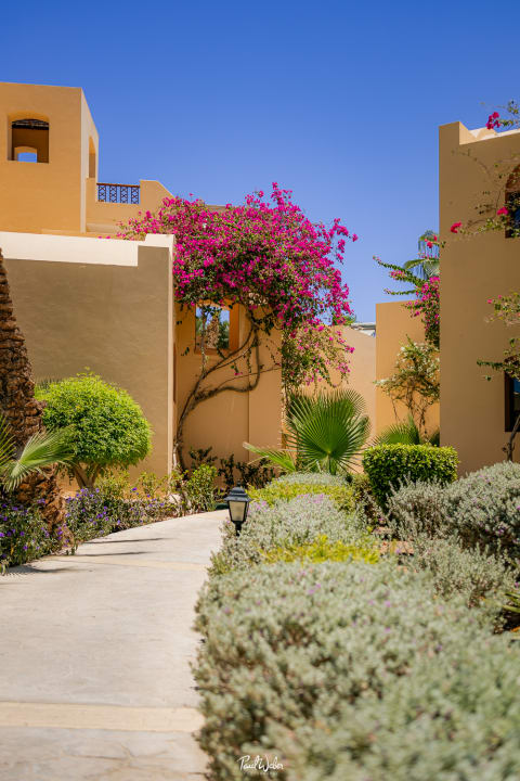 Gartenanlage Steigenberger Coraya Beach - Adults only