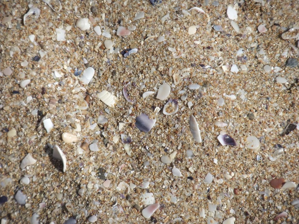 Sand mit Muscheln-toll Duni Royal Holiday Village