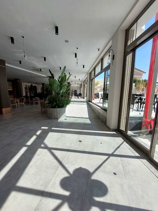 Gastro Seashell Vega