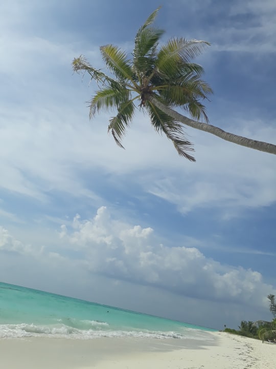 Strand Meeru Maldives Resort Island