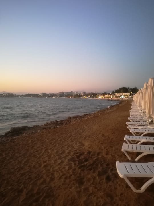 Strand Can Garden Beach