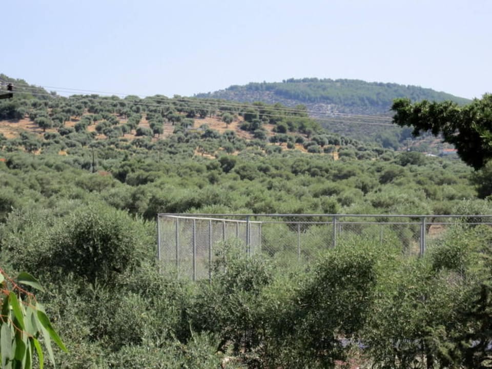 Ogród Hotel Astris Sun