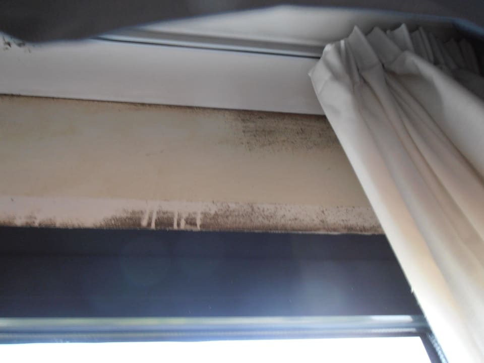 Fenster Hotel Floris