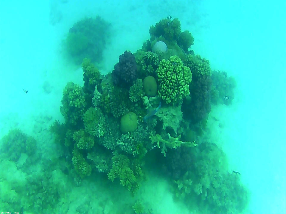 Sonstiges Arabella Azur Resort