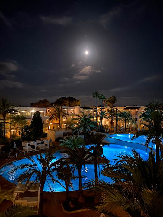 Pool Calimera Fido Gardens