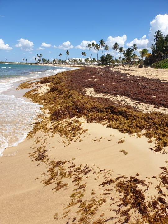 Strand Wyndham Alltra Punta Cana
