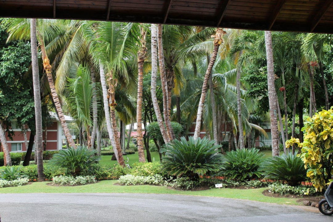 Herrliche Gartenanlage Grand Palladium Select Bávaro Resort & Spa