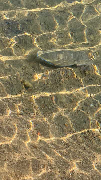 Strand Steigenberger Aqua Magic