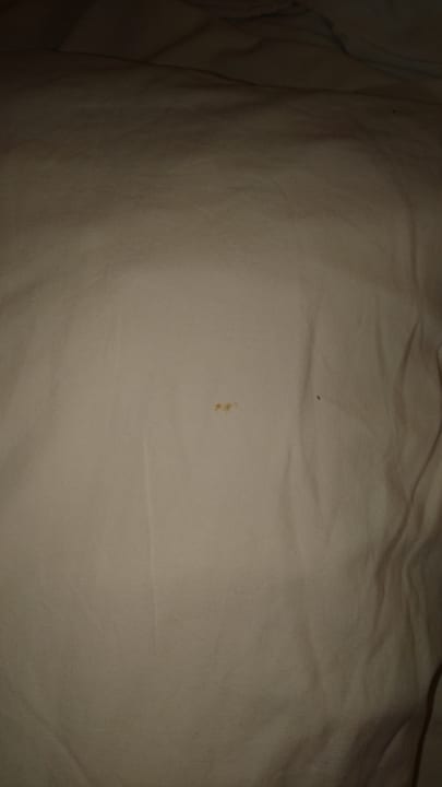 Zimmer Nour Palace Resort & Thalasso