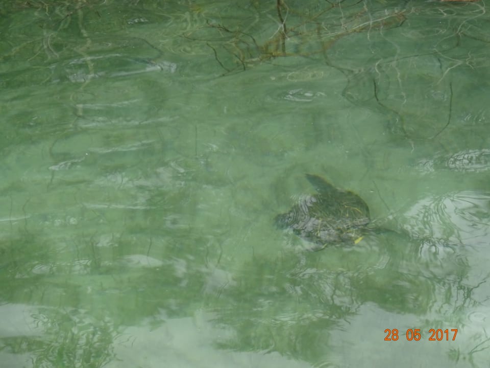 Strand Hotel Corissia Princess