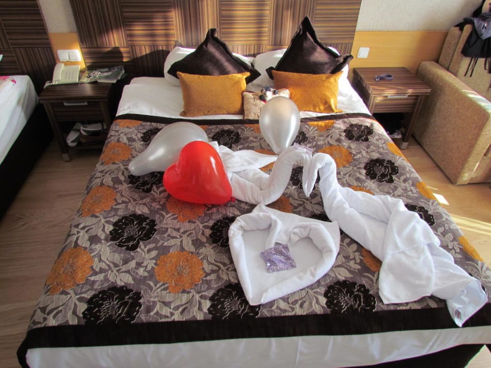 3 Personenzimmer Sherwood Exclusive Lara