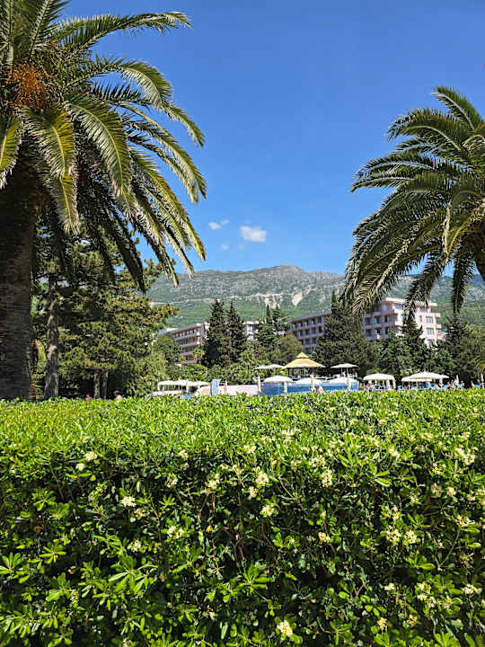 Sonstiges Iberostar Waves Bellevue