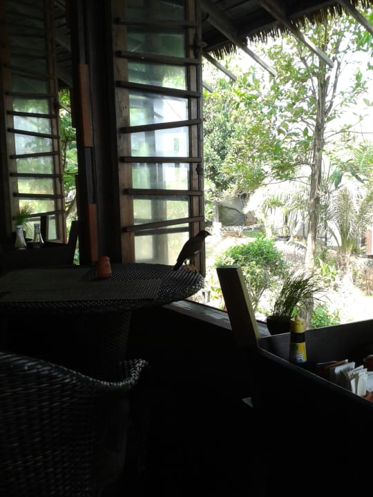 Blick auf die Anlage Panviman Resort Koh Phangan