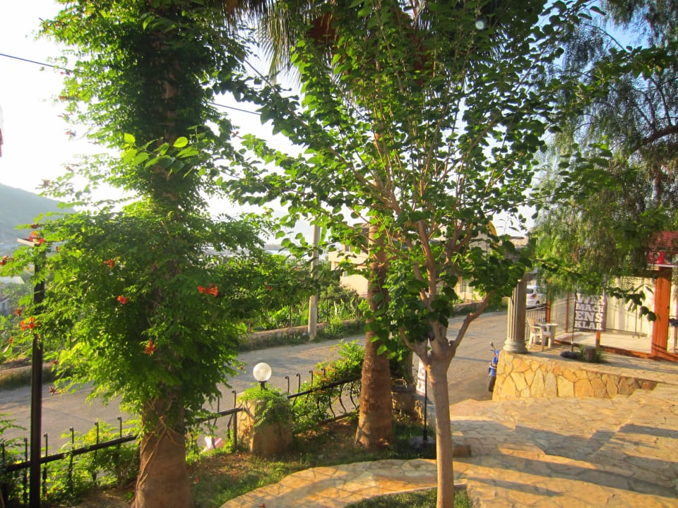 Eingang von der Lobby aus fotografiert La Finca Marina