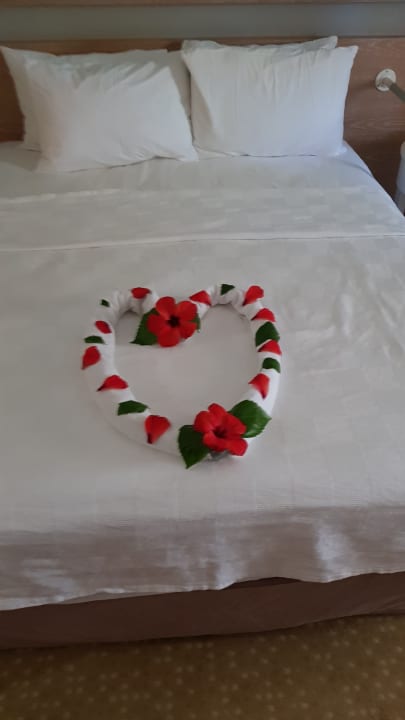 Zimmer Asteria Collection Side