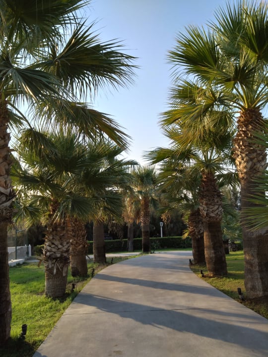 Pool Rodos Princess Beach Hotel & Spa