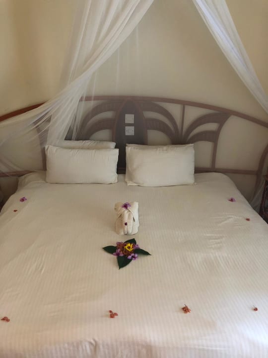 Zimmer Neptune Village Beach Resort & Spa