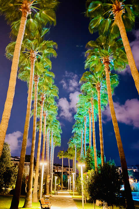 Gartenanlage Arum Barut Collection