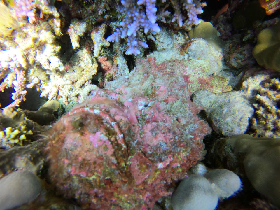 Sport & Freizeit ROBINSON SOMA BAY