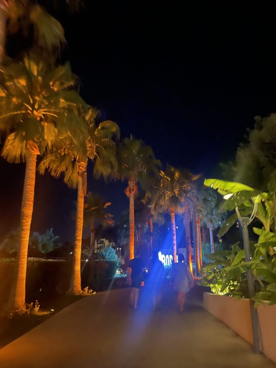 Gartenanlage TUI MAGIC LIFE Bodrum - Adult Only (16+)