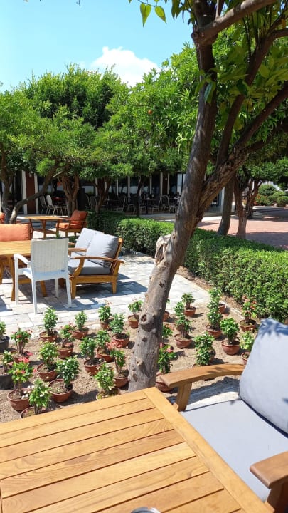 Gastro The Nix Hotel Kemer