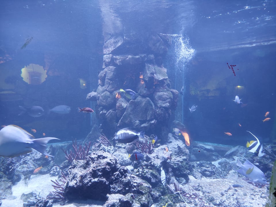 Sonstiges Biohotel Stanglwirt