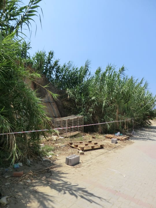 Vom Baumüll und Unrat gesäumter Strandweg Dizalya Palm Garden