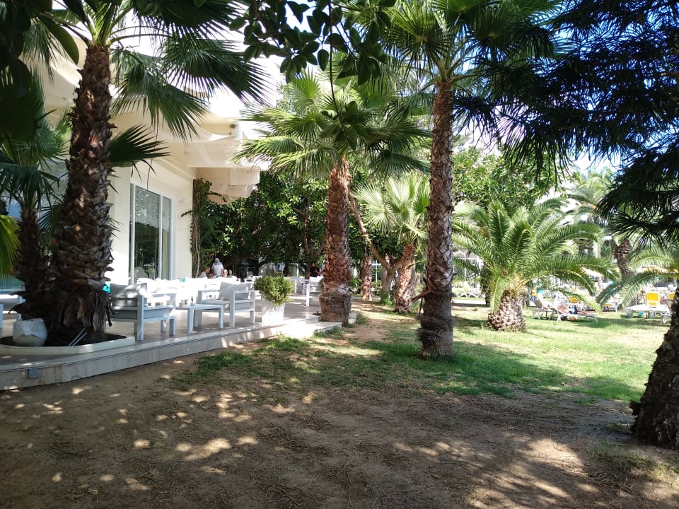 Gartenanlage Mahdia Beach & Aquapark