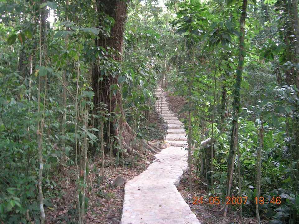 Weg in den Dschungel Hotel Mision Palenque